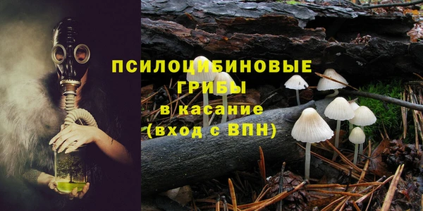 марки nbome Беломорск