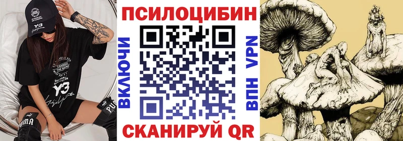 OMG вход Ялта Галлюциногенные грибы Magic Shrooms